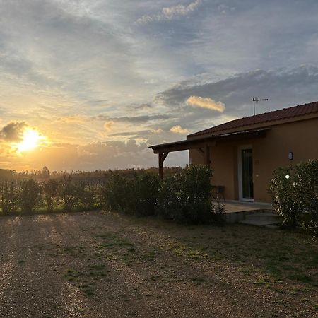 Maris Suite - Appartamento Con Vasca Idromassaggio Alghero Exteriör bild