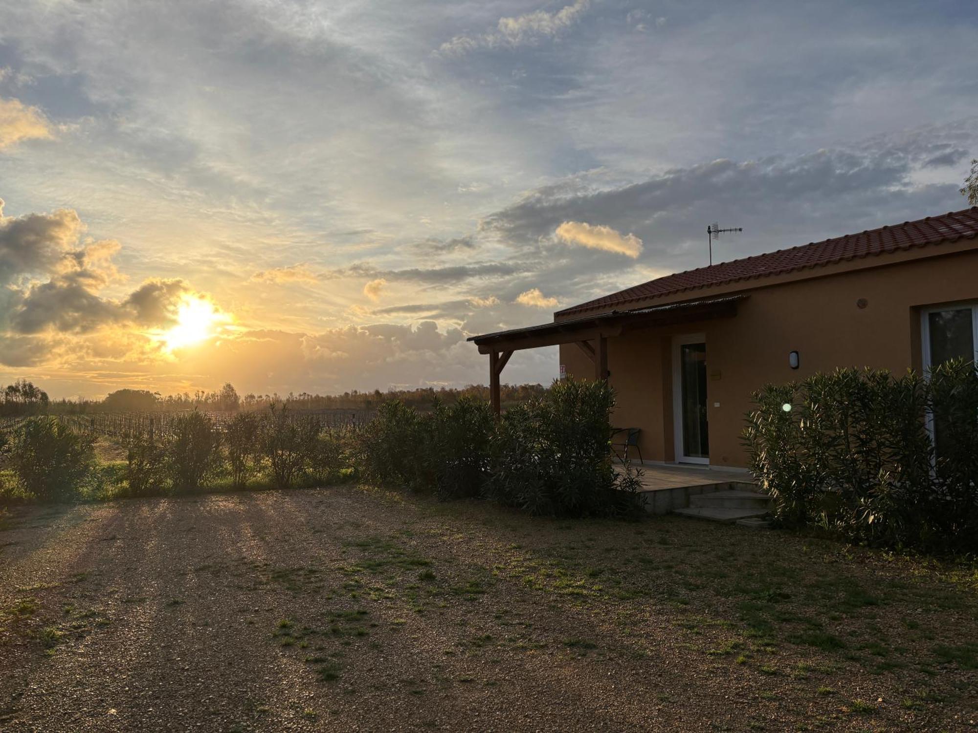Maris Suite - Appartamento Con Vasca Idromassaggio Alghero Exteriör bild