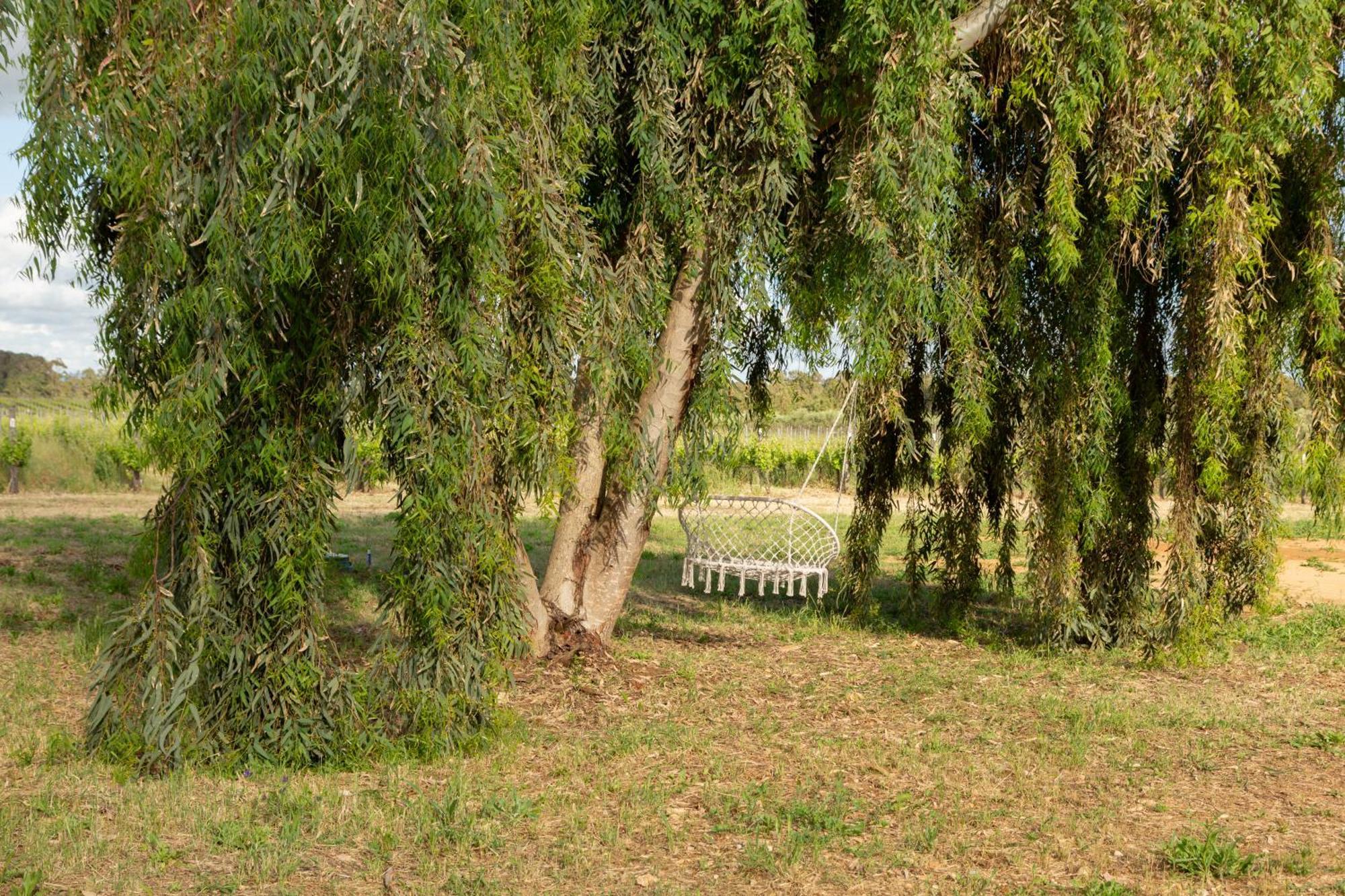 Maris Suite - Appartamento Con Vasca Idromassaggio Alghero Exteriör bild